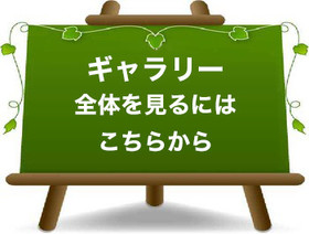 全体を見るには
こちらから