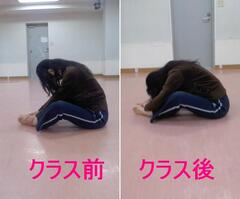さえｶｴﾙ比較.JPG