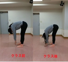 ﾎﾟﾌﾟﾘ前屈.jpg