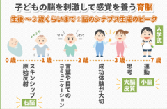 子供の育脳ﾌﾟﾁｬ.PNG