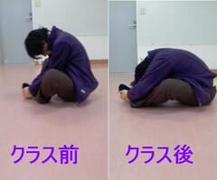 岬ｶｴﾙ比較.JPG