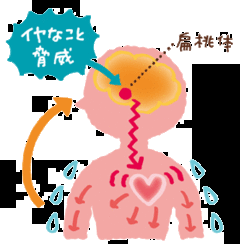 感情.gif