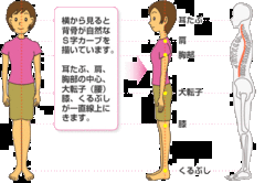 s字ｶｰﾌﾞ.gif